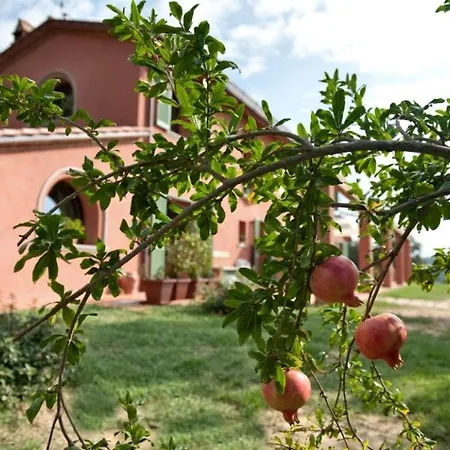 Podere Chiaromonte-3